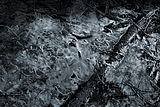 Bernhard Saalfeld - DSC00485 -1